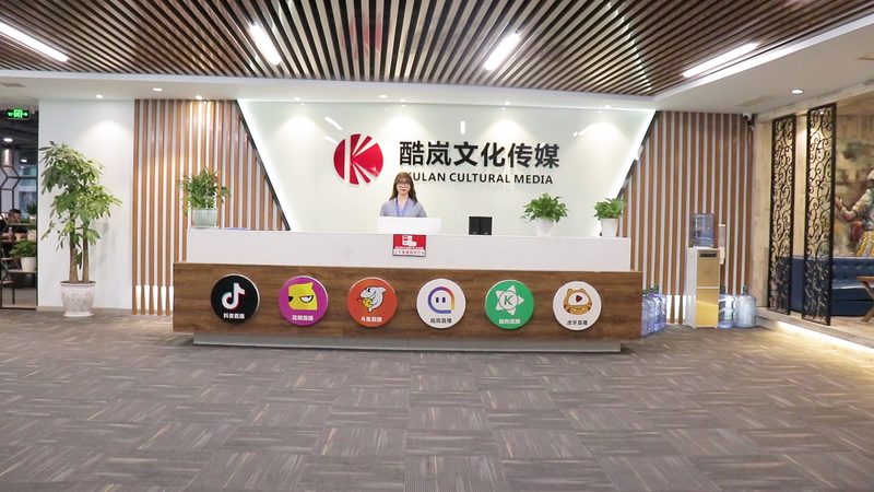 以某知名企业为例，该企业在选择品牌策划公司时，对比了以下几家：