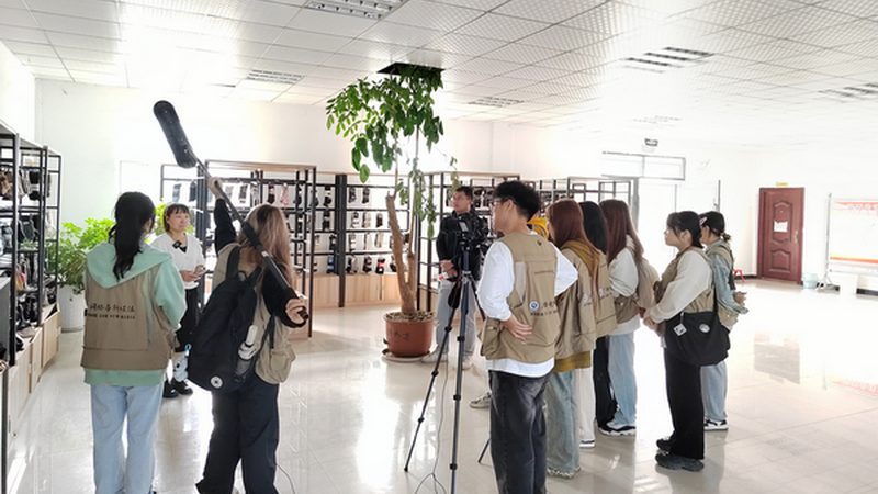 三维动画材质参数解析：揭秘材质批发报价背后的奥秘