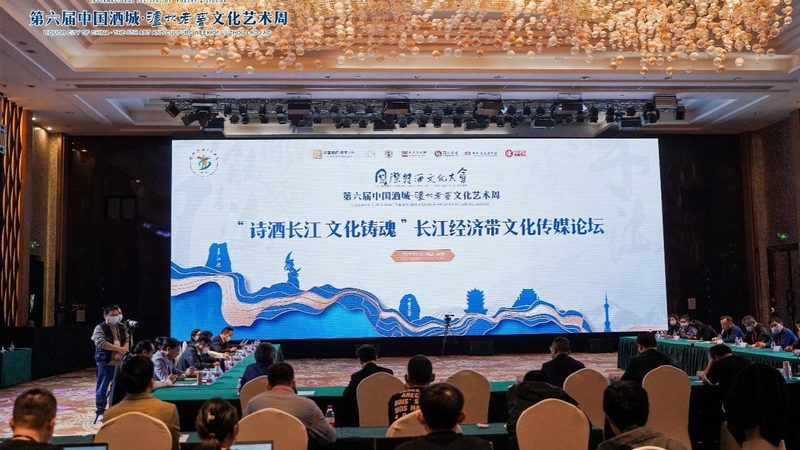 成都文化传媒公司注册资本：揭秘背后的行业逻辑