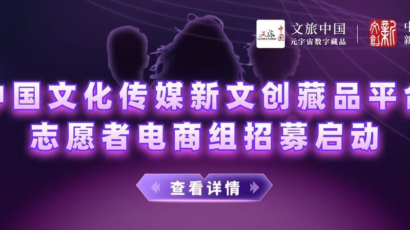 东莞市文化传播有限公司